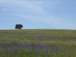 Herdade Joana Dias by PortusAlacer
